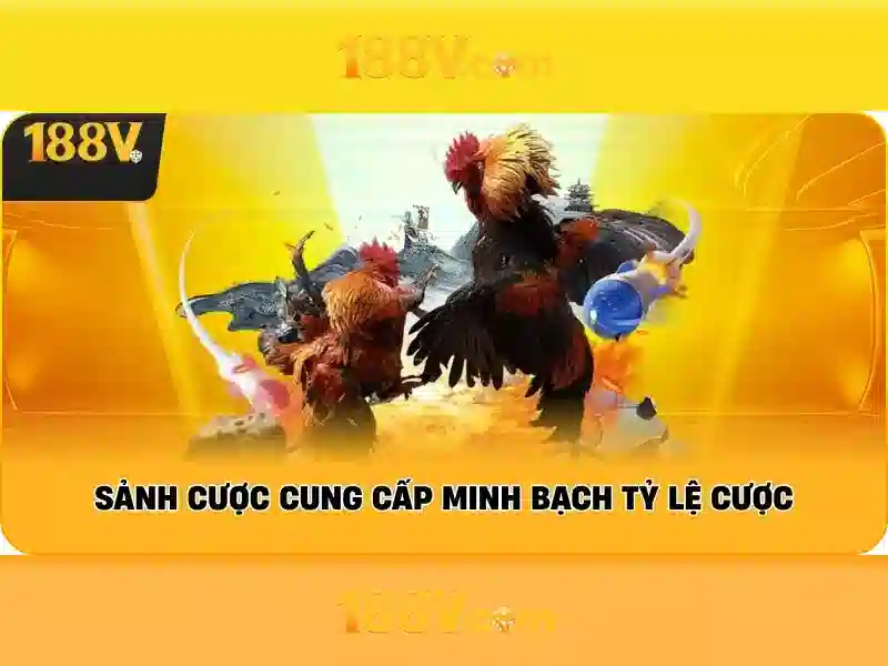 Trải nghiệm người dùng và phản hồi từ cộng đồng