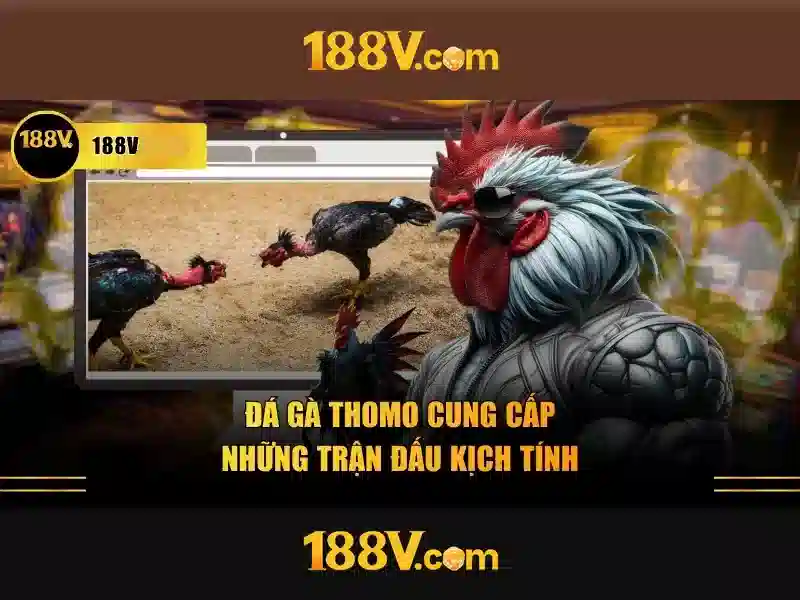 188v 188vv.com.vn – Tổng quan chủ đề và giá trị cốt lõi