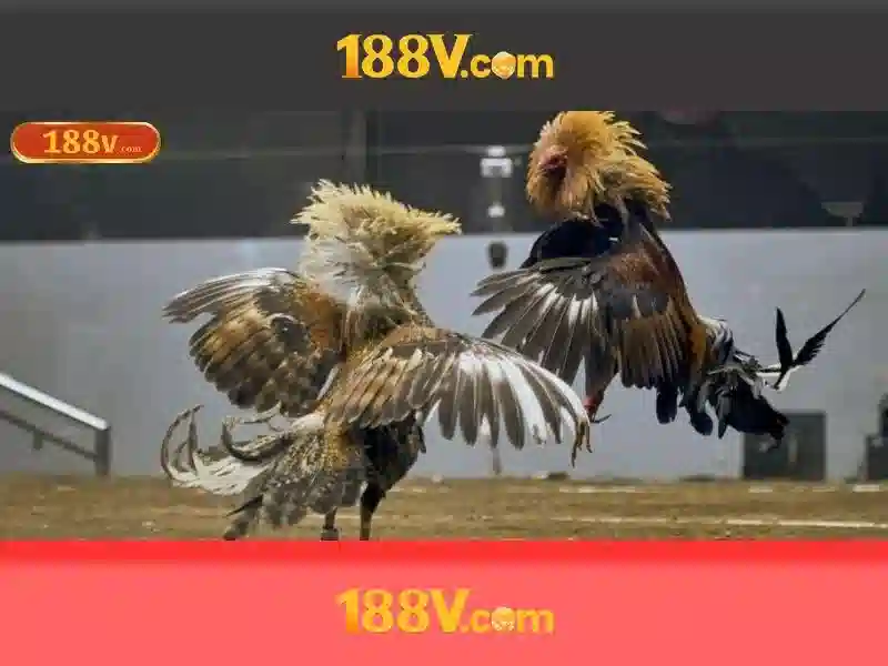 Nguồn gốc và sứ mệnh của nhà cái 188v