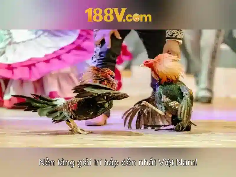 Nội dung và hình ảnh của 188v