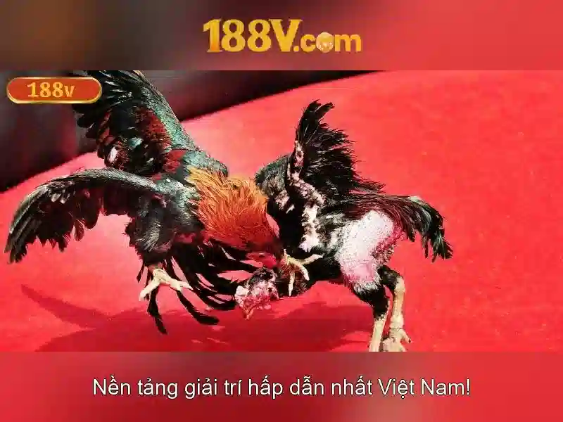 Tương lai của 188v
