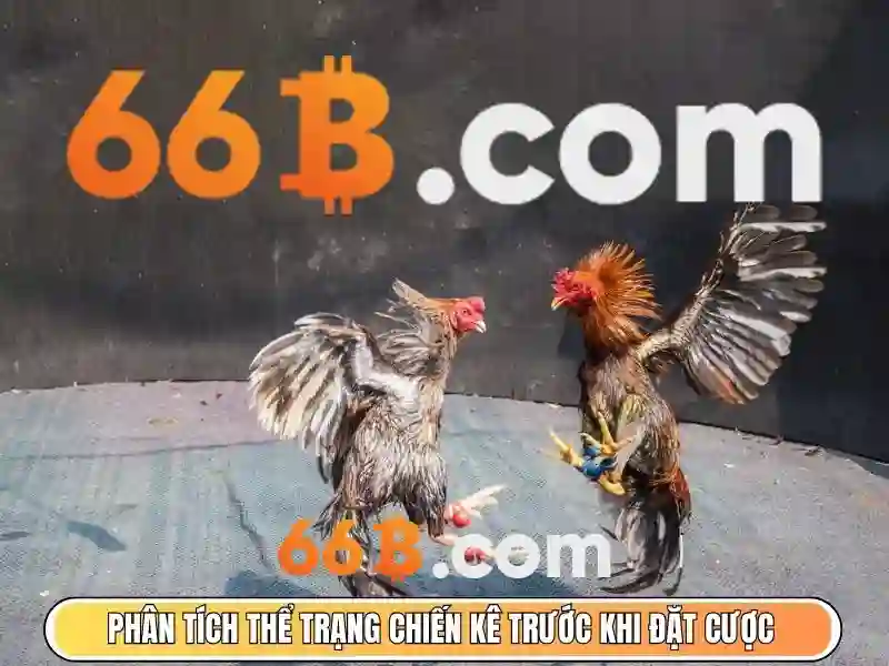 Một số điều khoản điều kiện về trách nhiệm chơi